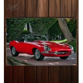Металлическая табличка Jaguar E-Type Roadster (Series I) 337